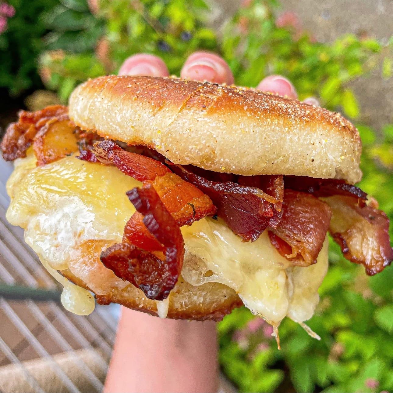 Bacon and melted cheese breakfast sandwich on a toasted English muffin